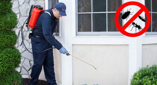 Bolvadin Tahtakurusu İlaçlama böcek ilaçlama ve haşere kontrolü — ilaclama-tr.com